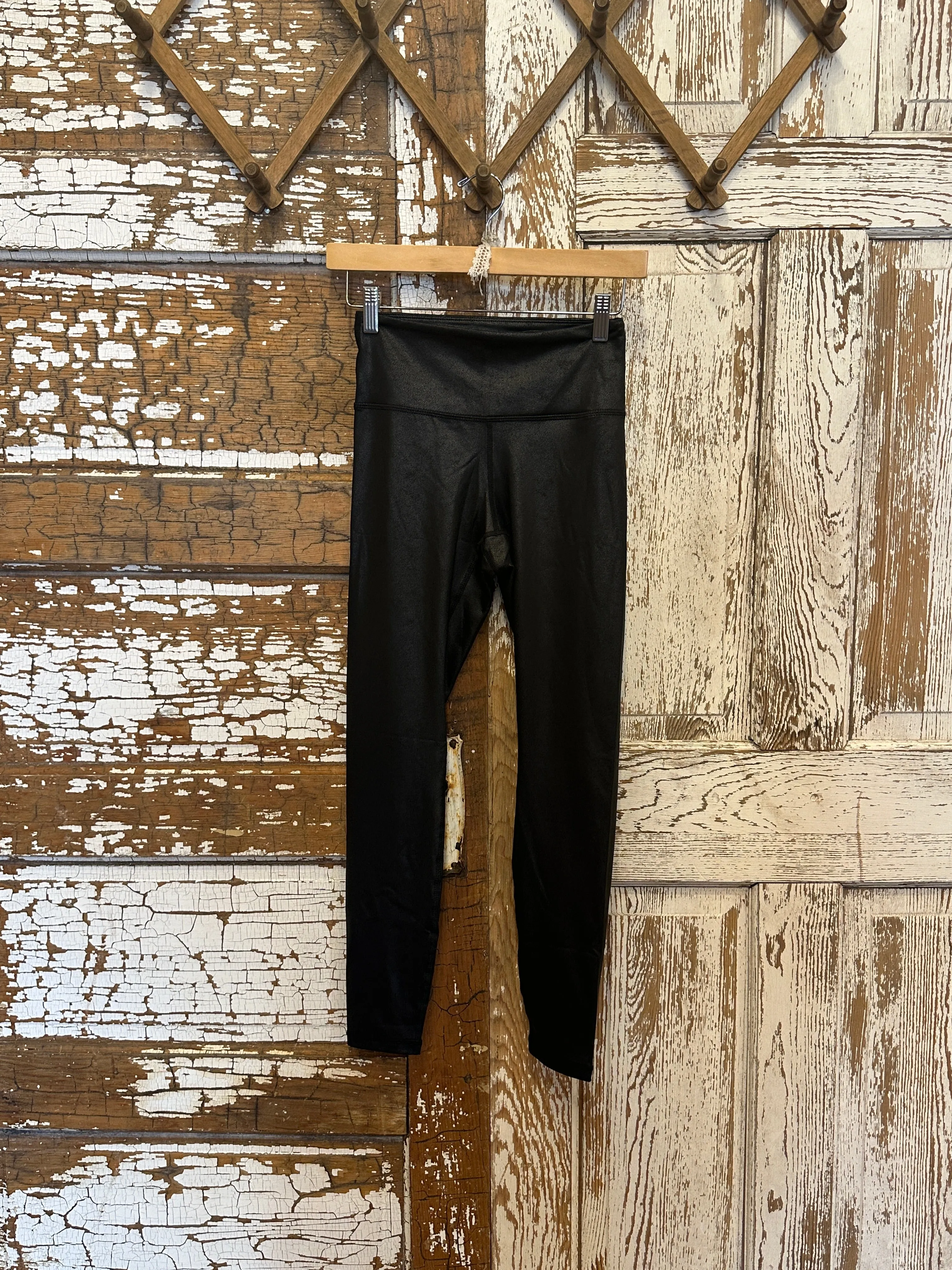 Lux Pleather Leggings: Small - 3X